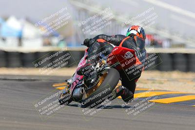 media/Oct-08-2022-SoCal Trackdays (Sat) [[1fc3beec89]]/Turn 16 (125pm)/